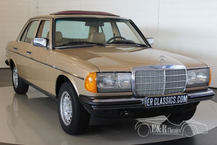 Mercedes Benz 230e 1984 For Sale At Erclassics