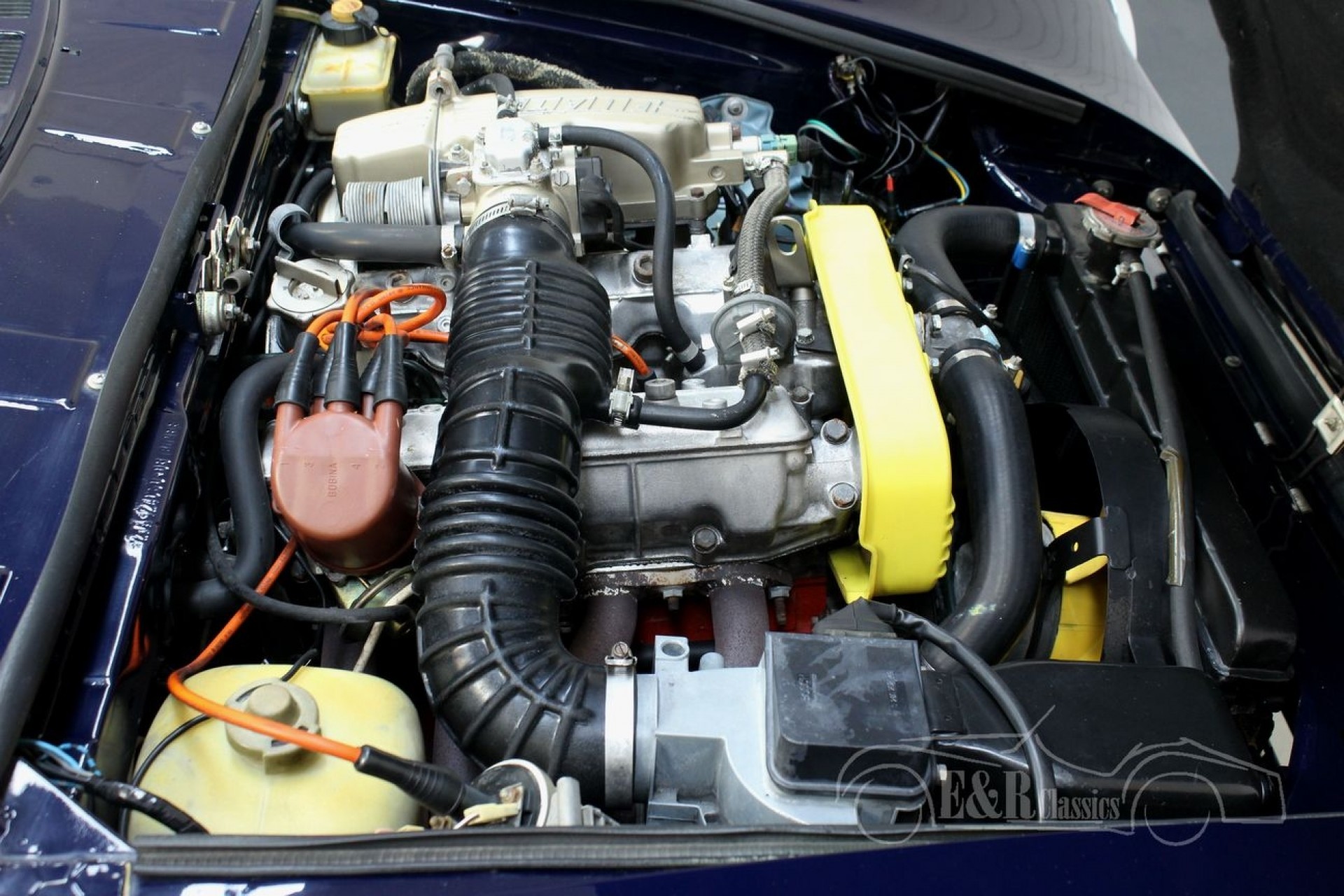 Fiat 124 Spider 2000 1981 for sale at ERclassics