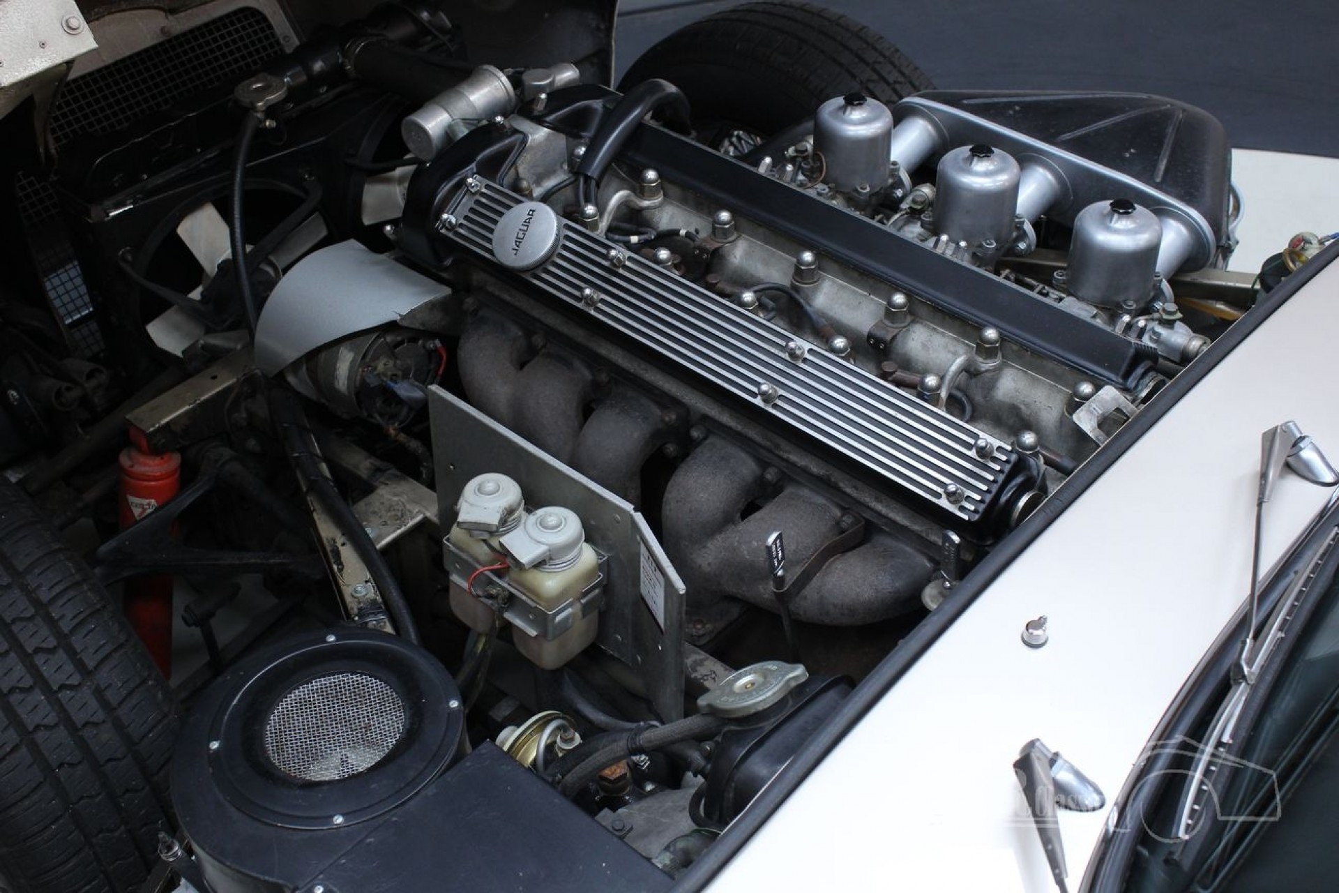 Jaguar EType S1.5 2 + 2 Coupé 1968 pasujące numery na