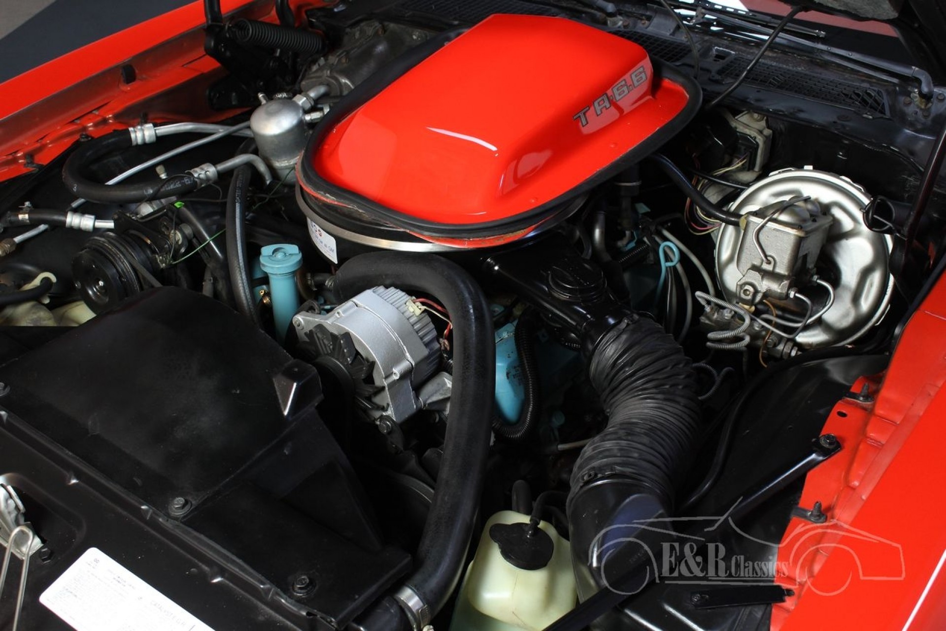 pontiac firebird trans am 1979 6 6l v8 for sale at erclassics pontiac firebird trans am 1979